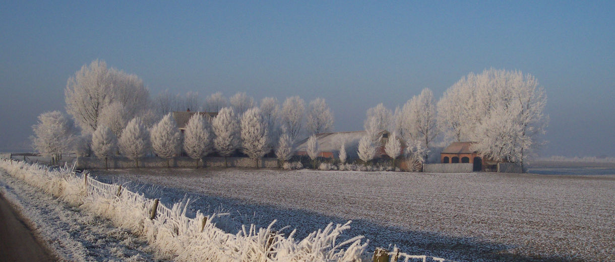 Image description goes here